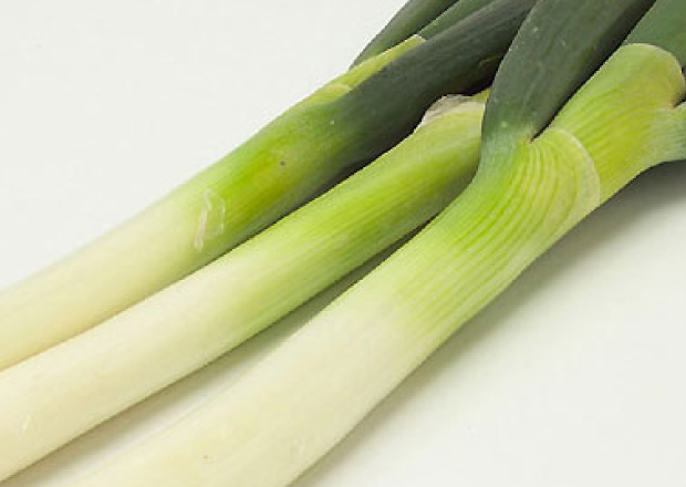那須の白美人ねぎ